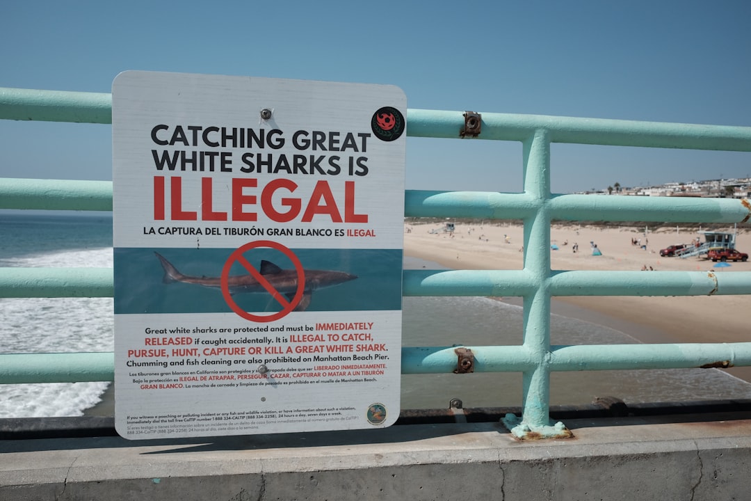 services-04 a-sign-on-a-fence-warning-people-to-not-feed-the-sharks-b0jq-xy3ja